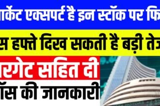 मार्केट एक्सपर्ट है इन स्टॉक पर फिदा, इस हफ्ते दिख सकती है बड़ी तेजी, टारगेट सहित दी पूरी स्टॉप लॉस की जानकारी