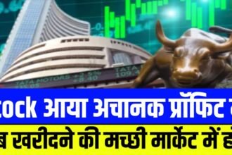 घाटे में चलने वाली कंपनी एकदम से आई मुनाफे में, स्टॉक को खरीदने की मच्छी मार्केट में होड़