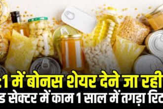2:1 में बोनस शेयर देने जा रही है यह कंपनी, फूड सेक्टर में करती है बिजनेस 1 साल में दिया है दमदार रिटर्न