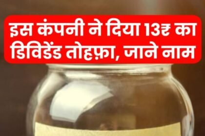 इस कंपनी ने दिया 13₹ का डिविडेंड तोहफ़ा, जाने नाम